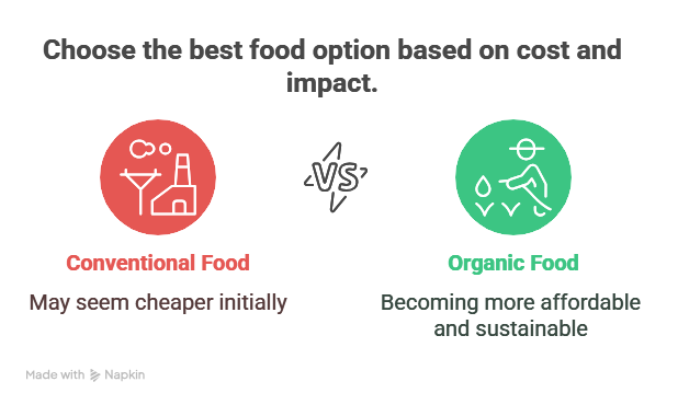organic farming in India
