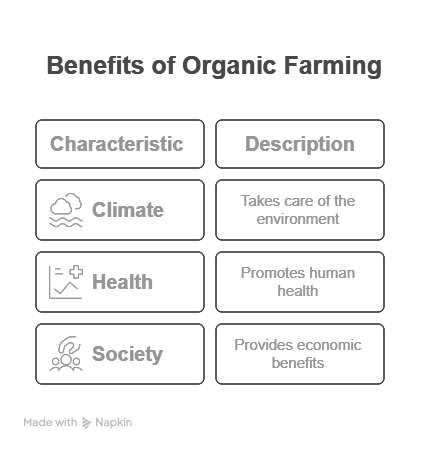 image showing the benefits of organic farming